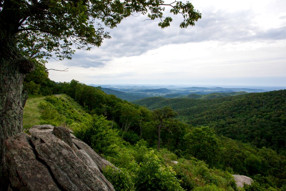 Hazel MountainOverlook