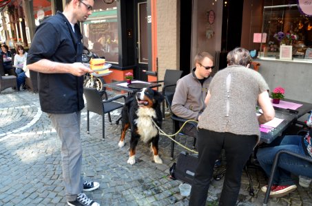 Bruges 2014