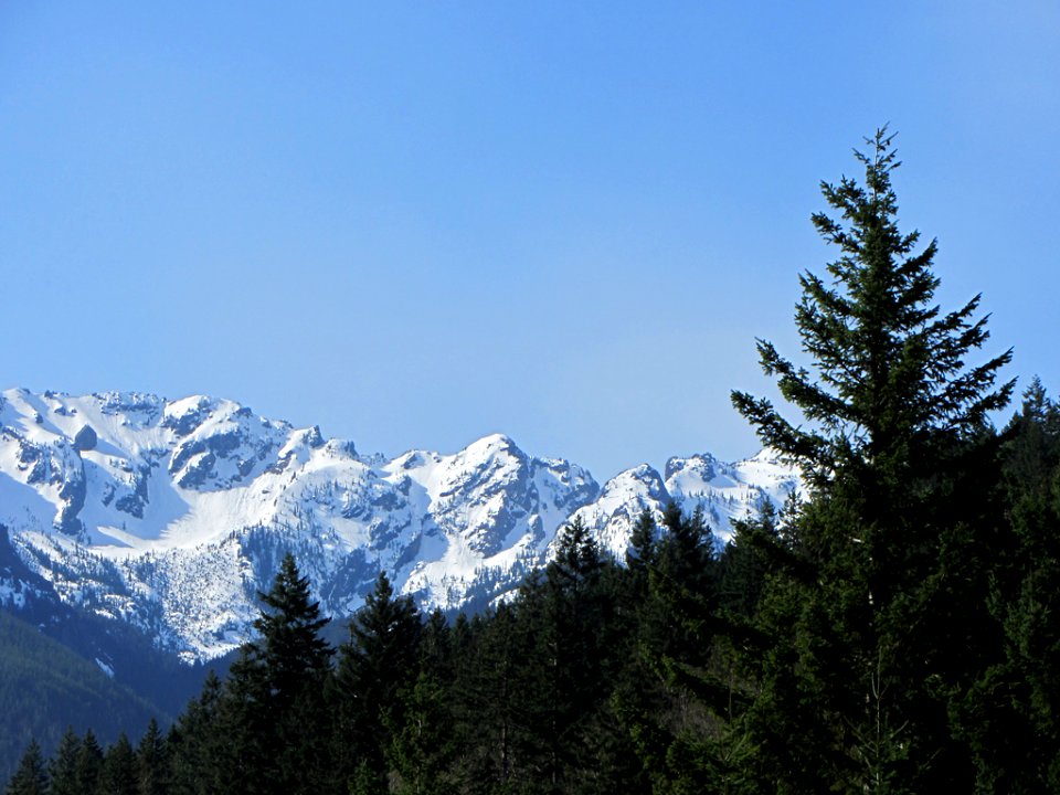 Hurricane Ridge at Olympic NP in WA