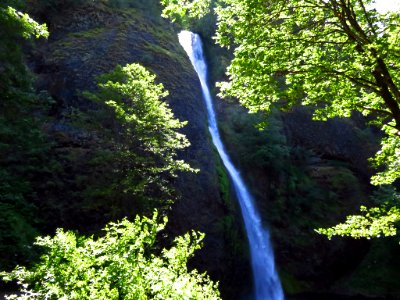 Horsetail Falls at Columbia River Gorge in Oregon