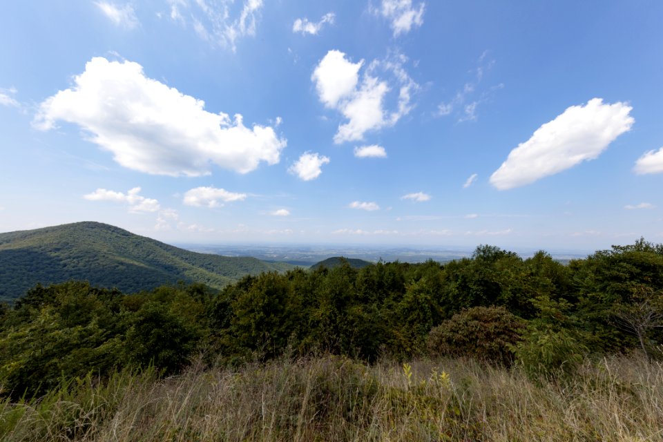 Turk Mountain Overlook