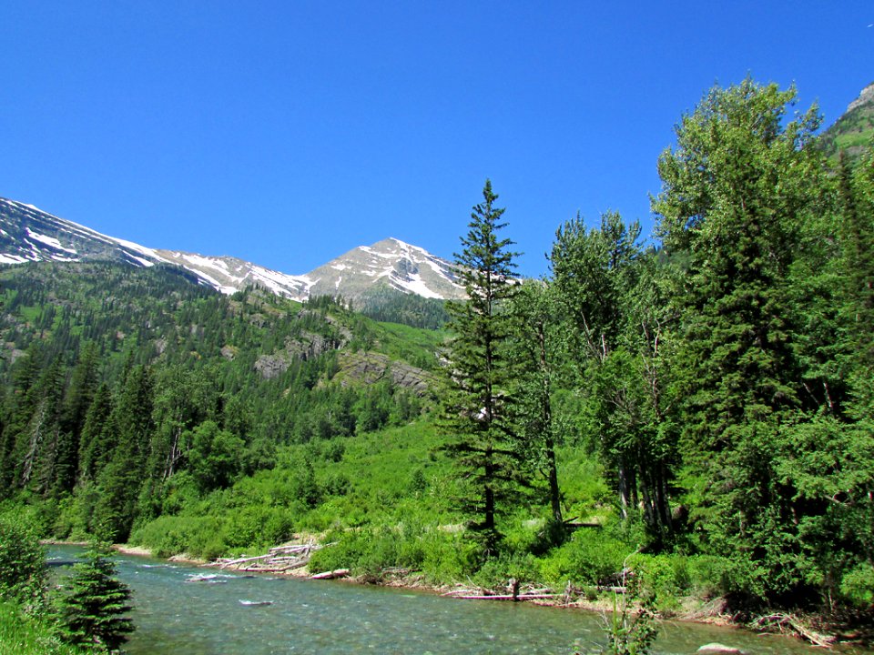Flathead River at Glacier NP in MT