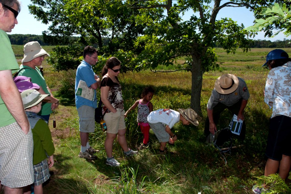 Big Meadow Walk