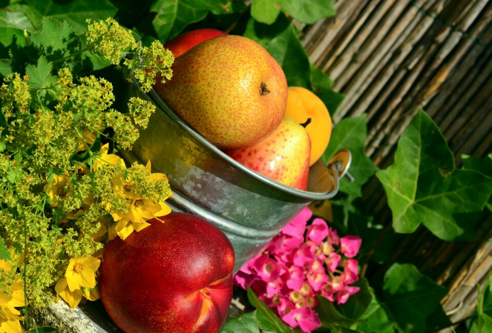 Harvest still life colorful