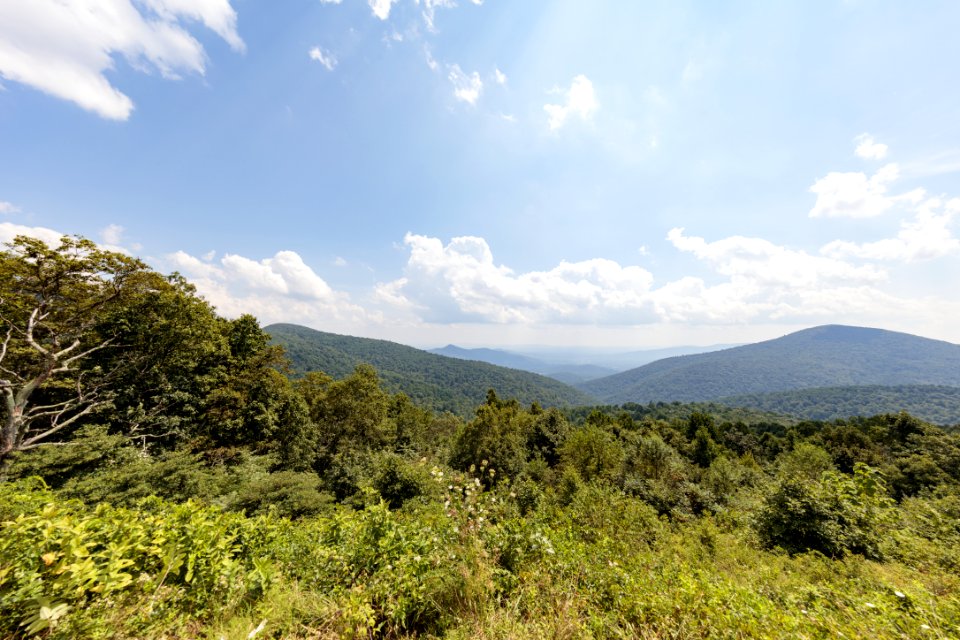Doyles River Overlook