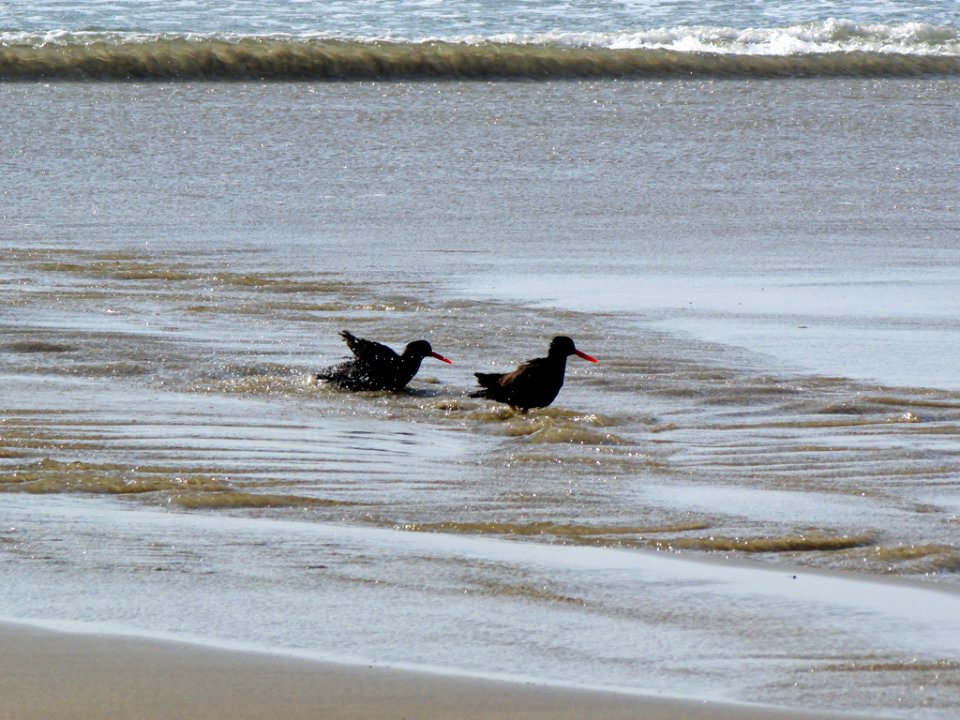 Hug Point Beach in Oregon