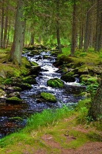 Water stones landscape photo