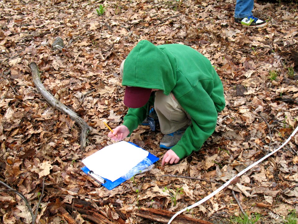 Salamander Transect Program