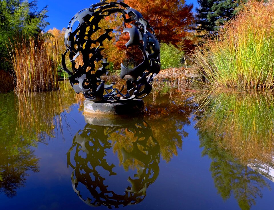 Mirroring botany freiburg