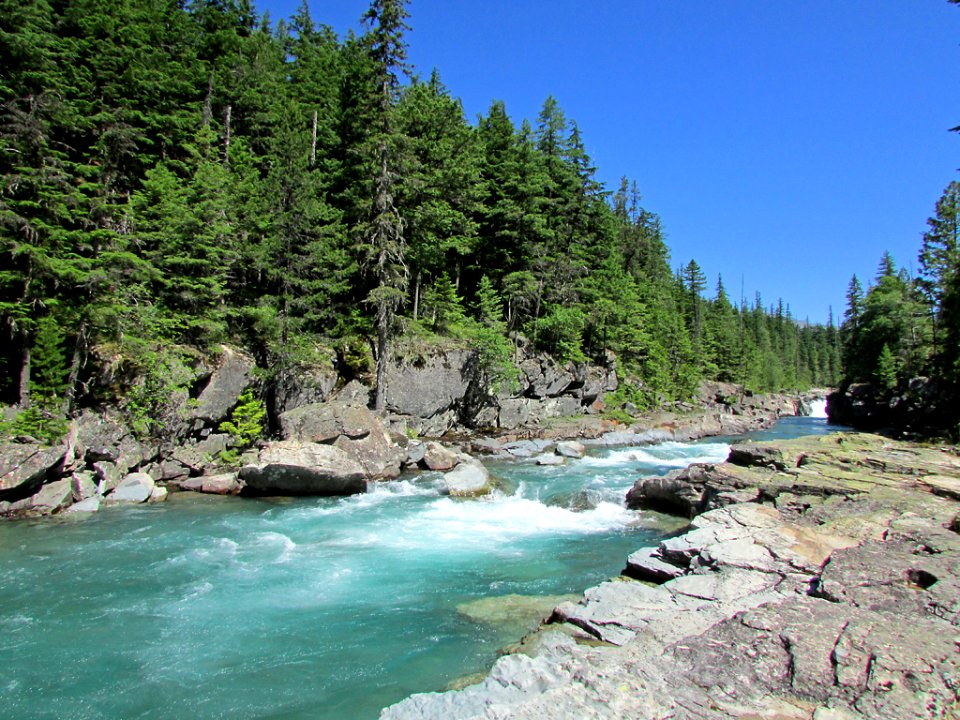 Flathead River at Glacier NP in MT