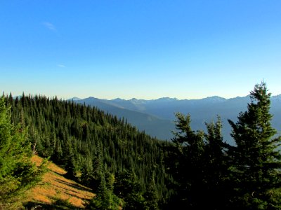 Hurricane Ridge at Olympic NP in WA
