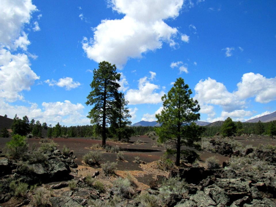 Sunset Crater Volcano NM in Arizona