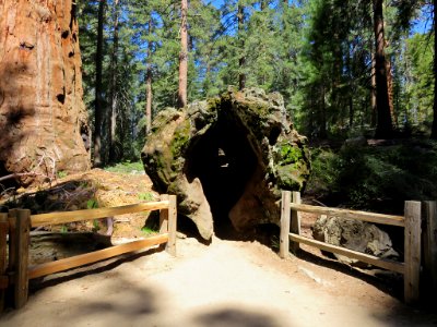 Kings Canyon NP in CA