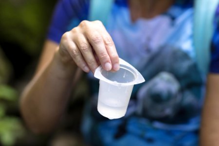 Water Quality Testing Activity