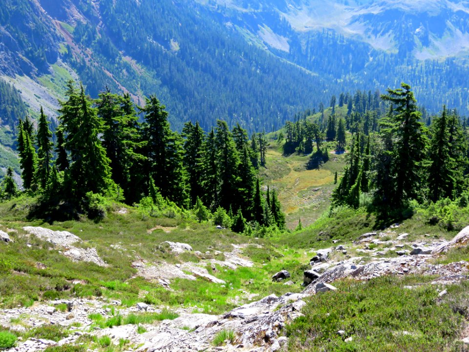 Mt. Baker-Snoqualmie NF in WA