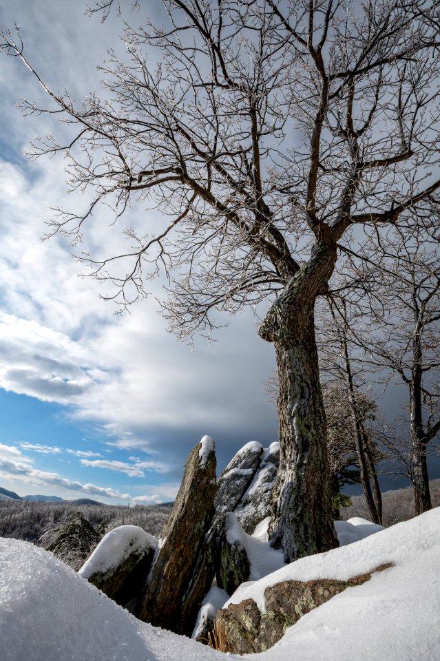 Winter Scene at Hazel Mountain Overlook