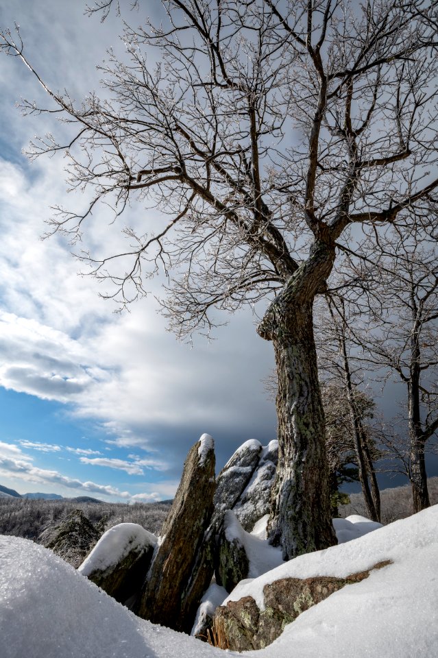 Winter Scene at Hazel Mountain Overlook photo