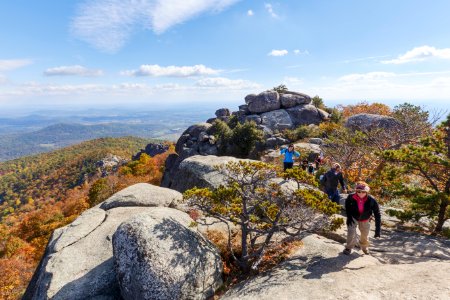 Hikers on the Ridge Trail photo