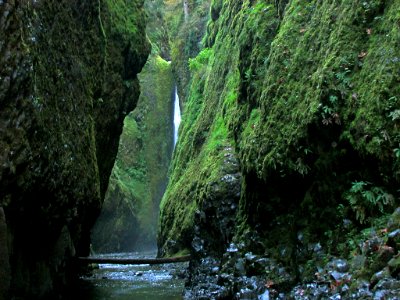 Oneonta Gorge in OR photo