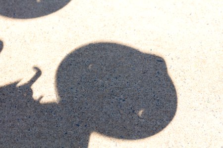 Eclipse Event at Byrd Visitor Center