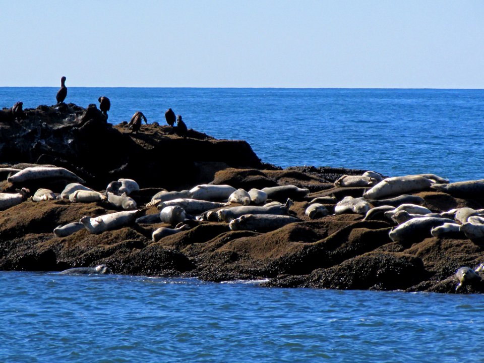 Yaquina Head in Newport, OR