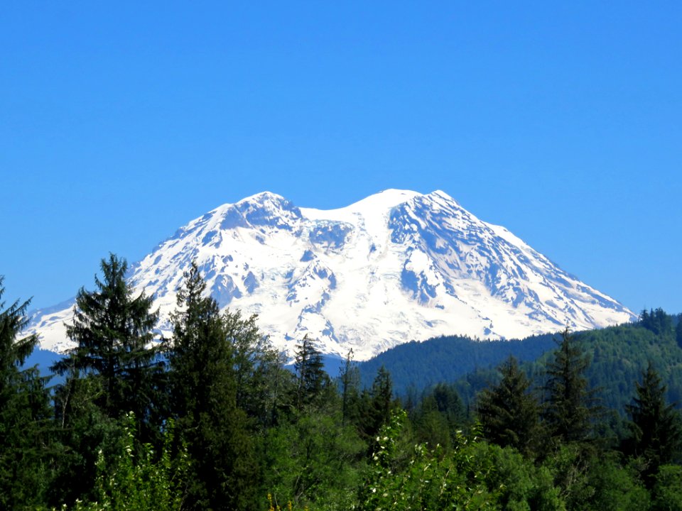 Mt. Rainier NP in WA