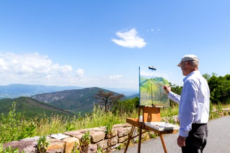 Artist-in-Residence - Summer 2017
