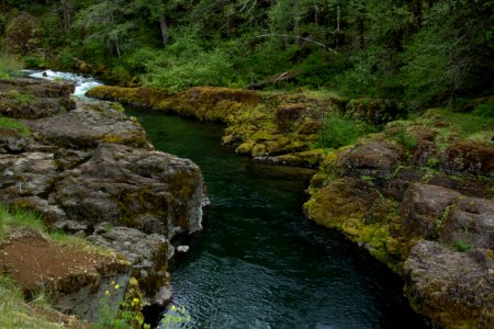 Quartzville Creek, Oregon photo