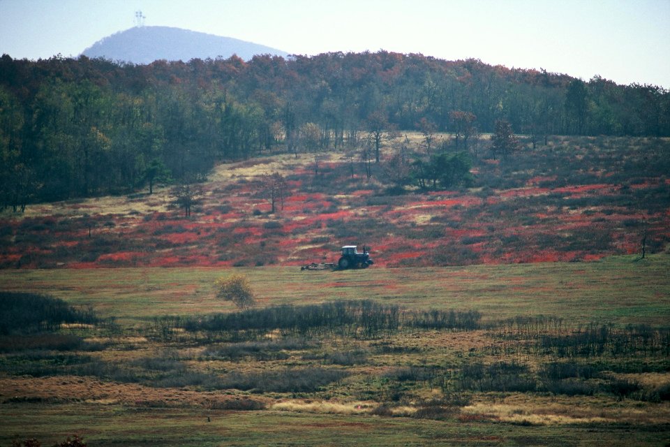 Big Meadows