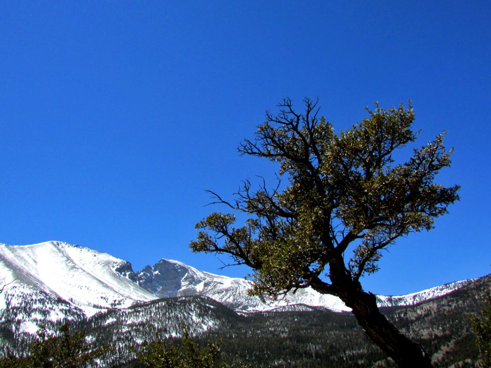 Wheeler Peak at Great Basin NP in Nevada