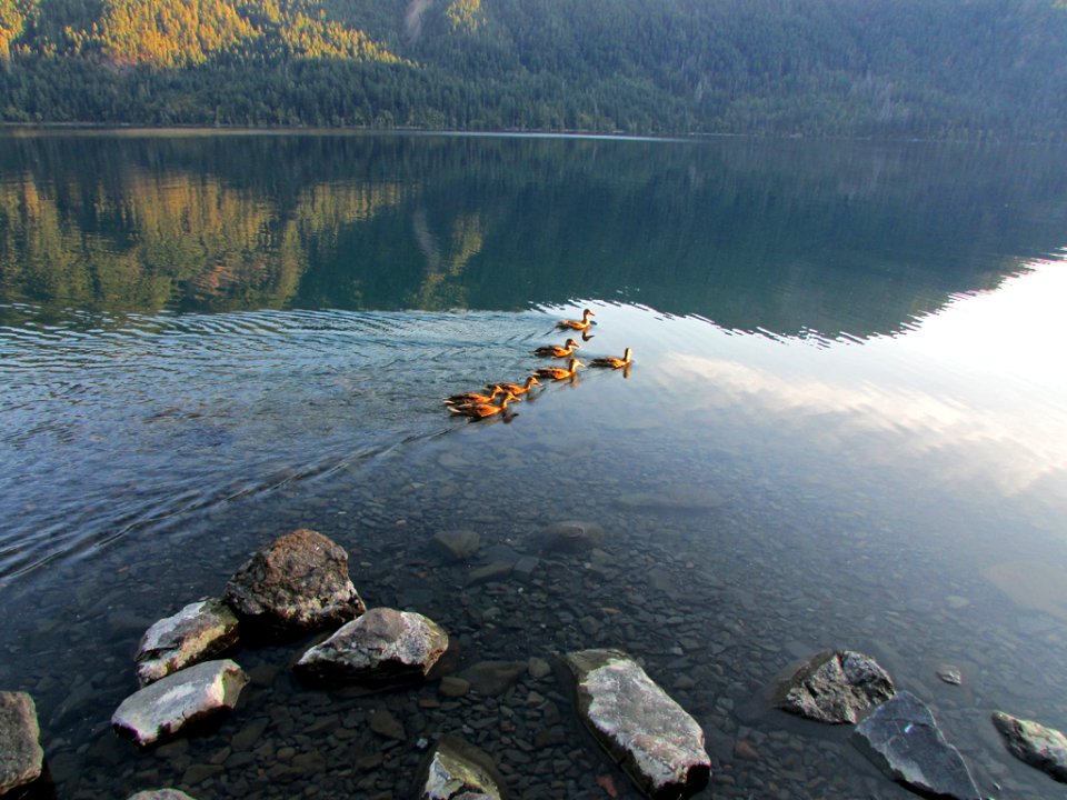 Lake Crescent at Olympic NP in WA