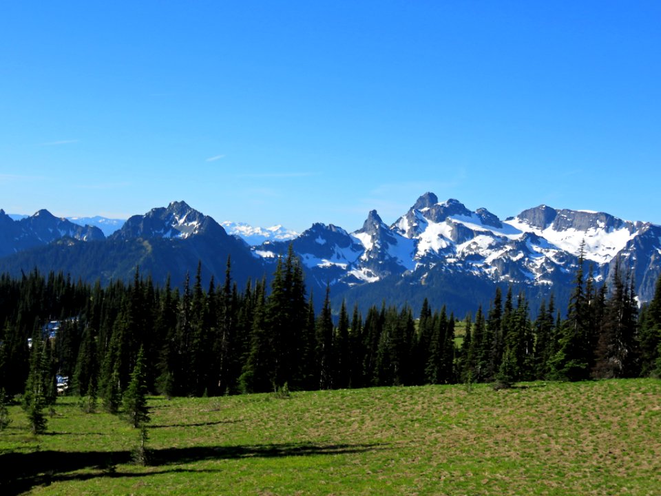 Mt. Rainier NP in WA