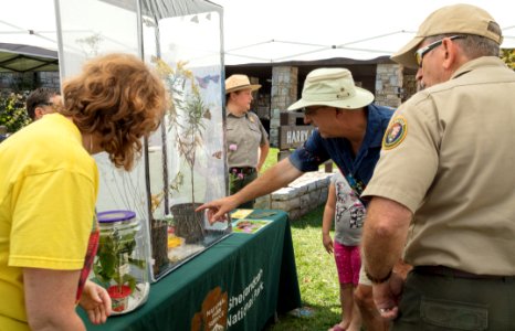 Monarch Butterfly Day 2017