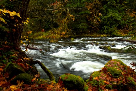 Clackamas River, Oregon photo