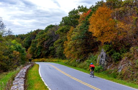 Enjoying the Fall Views photo