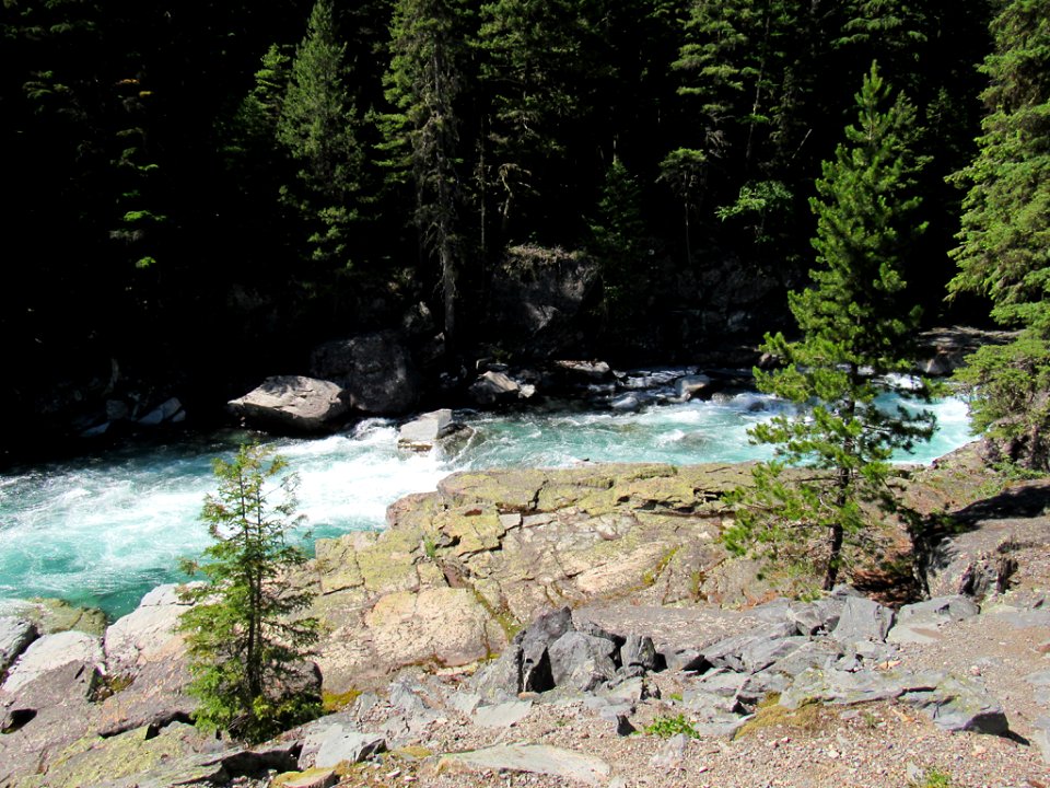 Flathead River at Glacier NP in Montana