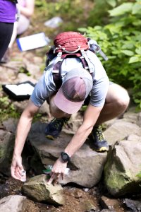 Water Quality Testing Activity