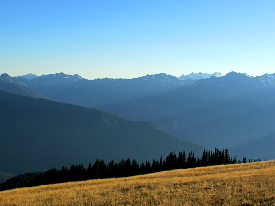 Hurricane Ridge at Olympic NP in WA