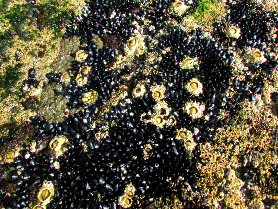Hug Point Beach in Oregon