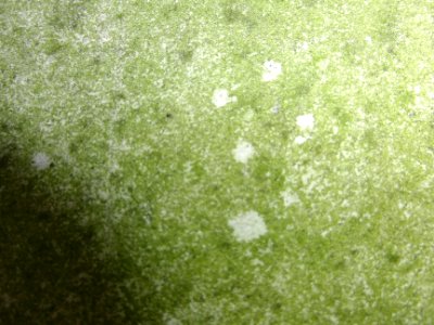Hintergrund