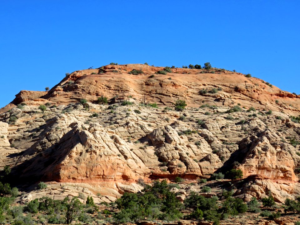 Navajo Land in AZ photo