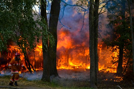 Trees burn stew