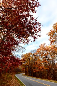 Late Fall in Shenandoah