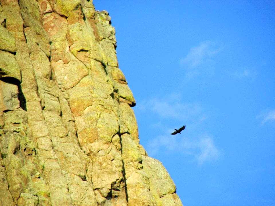 Devils Tower NM in WY