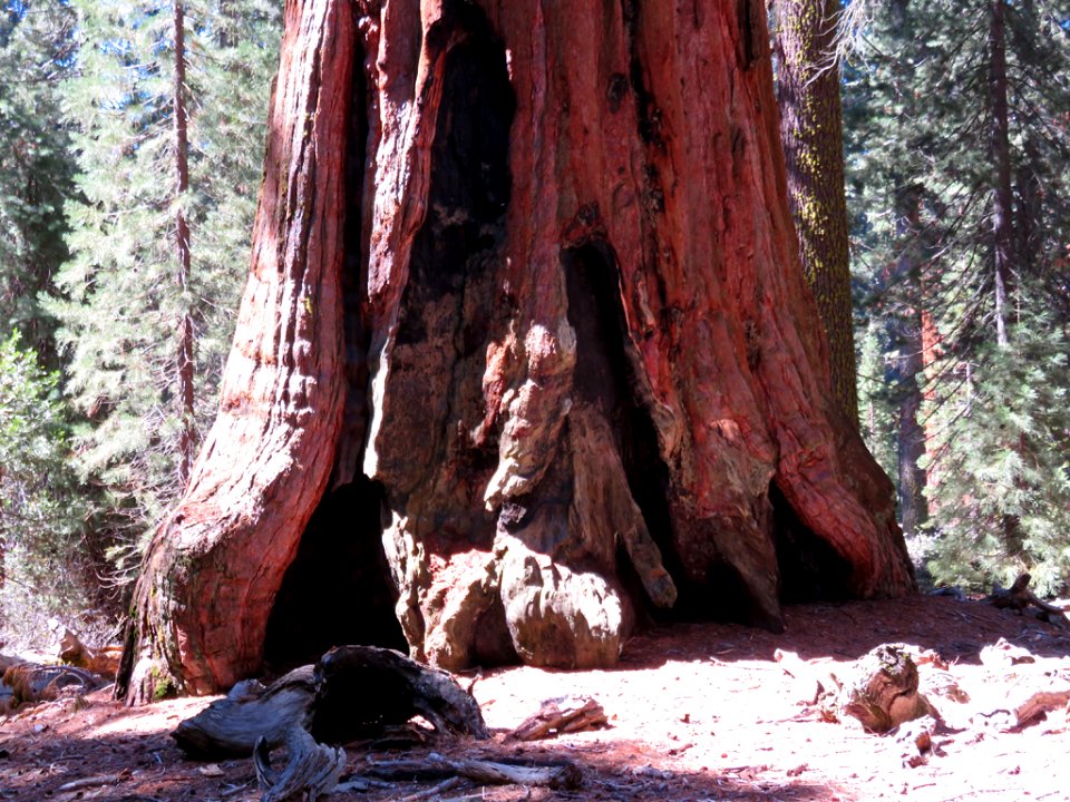 Kings Canyon NP in CA
