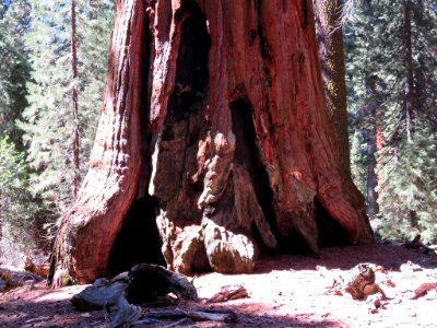 Kings Canyon NP in CA