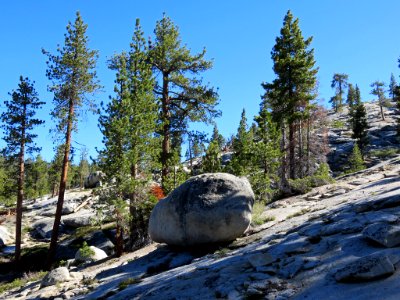 Sequoia NP in CA