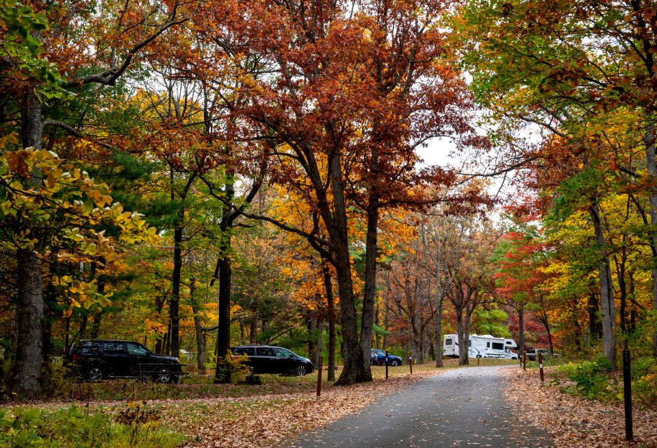 Fall in Mathews Arm Campground