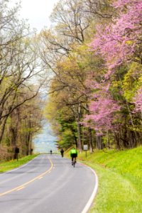 "Ride the Drive" Event
