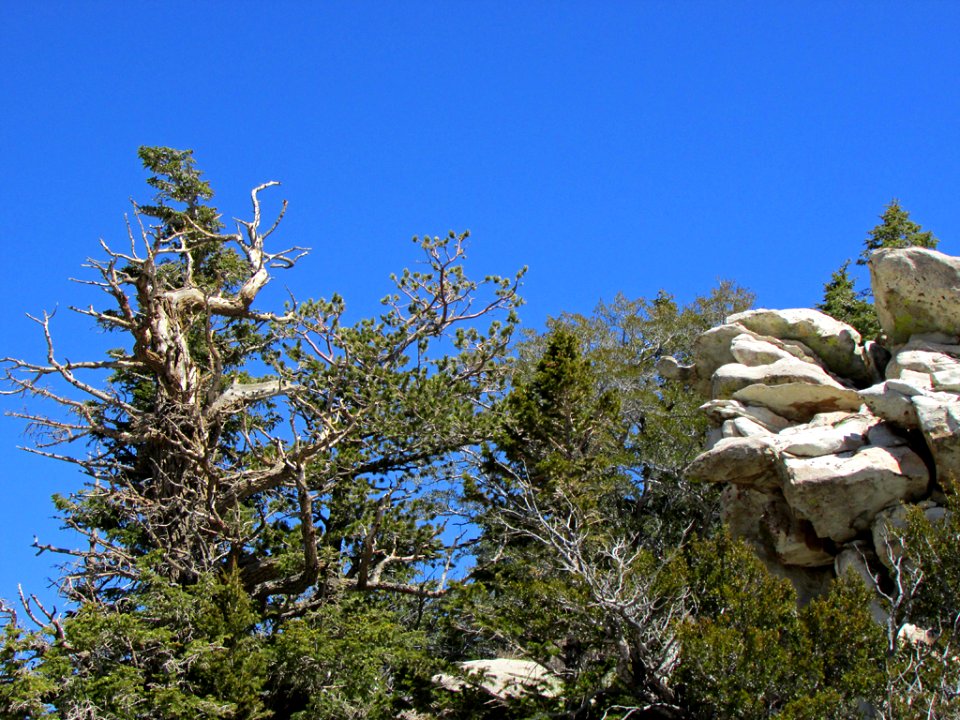 Great Basin NP in NV